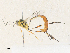  ( - CBG-A33500-E02)  @11 [ ] CreativeCommons - Attribution Share - Alike (2024) CBG Photography Group Centre for Biodiversity Genomics