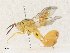  ( - CBG-A33500-E03)  @11 [ ] CreativeCommons - Attribution Share - Alike (2024) CBG Photography Group Centre for Biodiversity Genomics