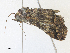  ( - CBG-A34326-D11)  @11 [ ] CreativeCommons - Attribution Share - Alike (2024) CBG Photography Group Centre for Biodiversity Genomics