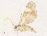  ( - CBG-A34328-D02)  @11 [ ] CreativeCommons - Attribution Share - Alike (2024) CBG Photography Group Centre for Biodiversity Genomics