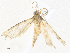  ( - CBG-A34329-G02)  @11 [ ] CreativeCommons - Attribution Share - Alike (2024) CBG Photography Group Centre for Biodiversity Genomics