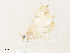  ( - CBG-A34330-B06)  @11 [ ] CreativeCommons - Attribution Share - Alike (2024) CBG Photography Group Centre for Biodiversity Genomics