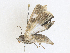  ( - CBG-A34330-E11)  @11 [ ] CreativeCommons - Attribution Share - Alike (2024) CBG Photography Group Centre for Biodiversity Genomics