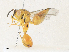  ( - CBG-A34331-E07)  @11 [ ] CreativeCommons - Attribution Share - Alike (2024) CBG Photography Group Centre for Biodiversity Genomics