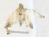  ( - CBG-A34331-F02)  @11 [ ] CreativeCommons - Attribution Share - Alike (2024) CBG Photography Group Centre for Biodiversity Genomics