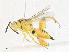  ( - CBG-A34331-H01)  @11 [ ] CreativeCommons - Attribution Share - Alike (2024) CBG Photography Group Centre for Biodiversity Genomics