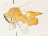  ( - CBG-A34331-H09)  @11 [ ] CreativeCommons - Attribution Share - Alike (2024) CBG Photography Group Centre for Biodiversity Genomics