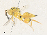  ( - CBG-A34332-C02)  @11 [ ] CreativeCommons - Attribution Share - Alike (2024) CBG Photography Group Centre for Biodiversity Genomics