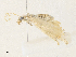  ( - CBG-A34332-G05)  @11 [ ] CreativeCommons - Attribution Share - Alike (2024) CBG Photography Group Centre for Biodiversity Genomics
