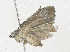  ( - CBG-A35197-A10)  @11 [ ] CreativeCommons - Attribution Share - Alike (2024) CBG Photography Group Centre for Biodiversity Genomics