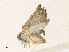  ( - CBG-A36746-H07)  @11 [ ] CreativeCommons - Attribution Share - Alike (2024) CBG Photography Group Centre for Biodiversity Genomics