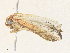  ( - CBG-A36749-B02)  @11 [ ] CreativeCommons - Attribution Share - Alike (2024) CBG Photography Group Centre for Biodiversity Genomics