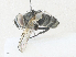  ( - CBG-A36750-B10)  @11 [ ] CreativeCommons - Attribution Share - Alike (2024) CBG Photography Group Centre for Biodiversity Genomics
