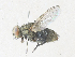  ( - CBG-A36750-B11)  @11 [ ] CreativeCommons - Attribution Share - Alike (2024) CBG Photography Group Centre for Biodiversity Genomics