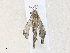  ( - CBG-A36750-D04)  @11 [ ] CreativeCommons - Attribution Share - Alike (2024) CBG Photography Group Centre for Biodiversity Genomics