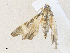  ( - CBG-A36752-B04)  @11 [ ] CreativeCommons - Attribution Share - Alike (2024) CBG Photography Group Centre for Biodiversity Genomics