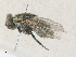  ( - CBG-A36752-E04)  @11 [ ] CreativeCommons - Attribution Share - Alike (2024) CBG Photography Group Centre for Biodiversity Genomics