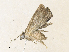  ( - CBG-A36762-H09)  @11 [ ] CreativeCommons - Attribution Share - Alike (2024) CBG Photography Group Centre for Biodiversity Genomics