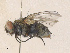  ( - CBG-A36763-H04)  @11 [ ] CreativeCommons - Attribution Share - Alike (2024) CBG Photography Group Centre for Biodiversity Genomics