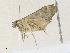 ( - CBG-A36765-E03)  @11 [ ] CreativeCommons - Attribution Share - Alike (2024) CBG Photography Group Centre for Biodiversity Genomics