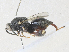  ( - CBG-A36765-F09)  @11 [ ] CreativeCommons - Attribution Share - Alike (2024) CBG Photography Group Centre for Biodiversity Genomics