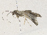  ( - CBG-A36766-F03)  @11 [ ] CreativeCommons - Attribution Share - Alike (2024) CBG Photography Group Centre for Biodiversity Genomics