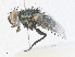 ( - CBG-A36768-G01)  @11 [ ] CreativeCommons - Attribution Share - Alike (2024) CBG Photography Group Centre for Biodiversity Genomics