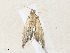  ( - CBG-A36857-C06)  @11 [ ] CreativeCommons - Attribution Share - Alike (2024) CBG Photography Group Centre for Biodiversity Genomics