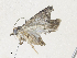  ( - CBG-A36857-C09)  @11 [ ] CreativeCommons - Attribution Share - Alike (2024) CBG Photography Group Centre for Biodiversity Genomics