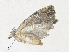  ( - CBG-A36857-C12)  @11 [ ] CreativeCommons - Attribution Share - Alike (2024) CBG Photography Group Centre for Biodiversity Genomics