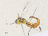  ( - CBG-A36858-B04)  @11 [ ] CreativeCommons - Attribution Share - Alike (2024) CBG Photography Group Centre for Biodiversity Genomics