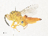  ( - CBG-A36859-G10)  @11 [ ] CreativeCommons - Attribution Share - Alike (2024) CBG Photography Group Centre for Biodiversity Genomics