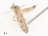  ( - CBG-A36878-C06)  @11 [ ] CreativeCommons - Attribution Share - Alike (2024) CBG Photography Group Centre for Biodiversity Genomics