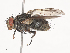  ( - CBG-A41907-B04)  @11 [ ] CreativeCommons - Attribution Share - Alike (2024) CBG Photography Group Centre for Biodiversity Genomics