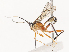  ( - CBG-A41909-H09)  @11 [ ] CreativeCommons - Attribution Share - Alike (2024) CBG Photography Group Centre for Biodiversity Genomics