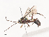  ( - CBG-A41910-E04)  @11 [ ] CreativeCommons - Attribution Share - Alike (2024) CBG Photography Group Centre for Biodiversity Genomics
