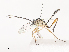  ( - CBG-A44292-G12)  @11 [ ] CreativeCommons - Attribution Share - Alike (2024) CBG Photography Group Centre for Biodiversity Genomics