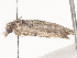  ( - CBG-A44294-F03)  @11 [ ] CreativeCommons - Attribution Share - Alike (2024) CBG Photography Group Centre for Biodiversity Genomics