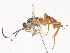  ( - CBG-A44294-H05)  @11 [ ] CreativeCommons - Attribution Share - Alike (2024) CBG Photography Group Centre for Biodiversity Genomics