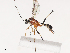  ( - CBG-A45153-A09)  @11 [ ] CreativeCommons - Attribution Share - Alike (2024) CBG Photography Group Centre for Biodiversity Genomics