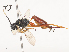  ( - CBG-A45153-D01)  @11 [ ] CreativeCommons - Attribution Share - Alike (2024) CBG Photography Group Centre for Biodiversity Genomics