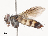  ( - CBG-A45154-F10)  @11 [ ] CreativeCommons - Attribution Share - Alike (2024) CBG Photography Group Centre for Biodiversity Genomics