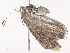  ( - CBG-A45154-H09)  @11 [ ] CreativeCommons - Attribution Share - Alike (2024) CBG Photography Group Centre for Biodiversity Genomics