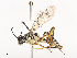  ( - CBG-A40200-C06)  @11 [ ] CreativeCommons - Attribution Share - Alike (2024) CBG Photography Group Centre for Biodiversity Genomics
