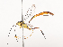  ( - CBG-A40200-F05)  @11 [ ] CreativeCommons - Attribution Share - Alike (2024) CBG Photography Group Centre for Biodiversity Genomics