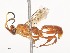  ( - CBG-A40200-F06)  @11 [ ] CreativeCommons - Attribution Share - Alike (2024) CBG Photography Group Centre for Biodiversity Genomics