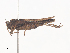  ( - CBG-A40224-C05)  @11 [ ] CreativeCommons - Attribution Share - Alike (2024) CBG Photography Group Centre for Biodiversity Genomics