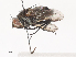  ( - CBG-A41818-C10)  @11 [ ] CreativeCommons - Attribution Share - Alike (2024) CBG Photography Group Centre for Biodiversity Genomics