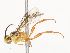  ( - CBG-A41841-D08)  @11 [ ] CreativeCommons - Attribution Share - Alike (2024) CBG Photography Group Centre for Biodiversity Genomics