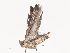  ( - CBG-A41841-E10)  @11 [ ] CreativeCommons - Attribution Share - Alike (2024) CBG Photography Group Centre for Biodiversity Genomics